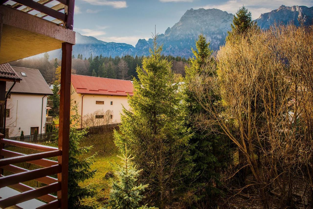 Casa Maia Hotel Szászbuda Kültér fotó