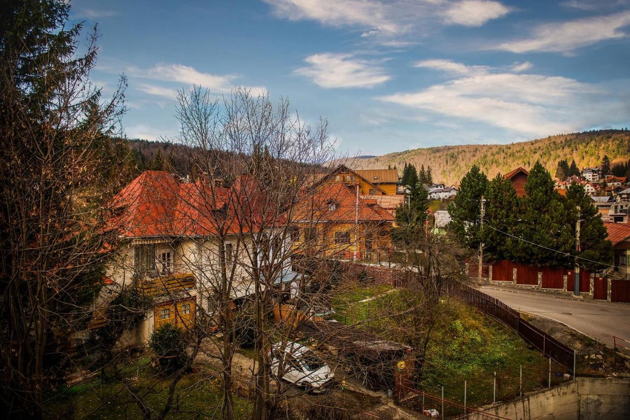 Casa Maia Hotel Szászbuda Kültér fotó