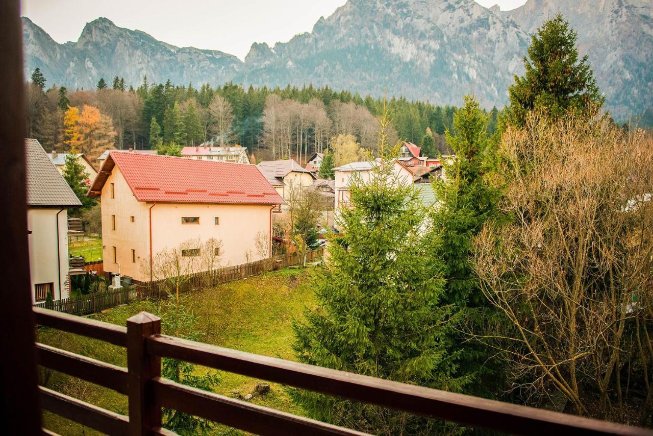 Casa Maia Hotel Szászbuda Kültér fotó