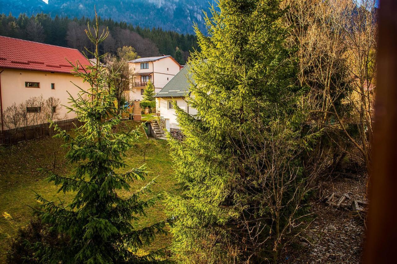 Casa Maia Hotel Szászbuda Kültér fotó