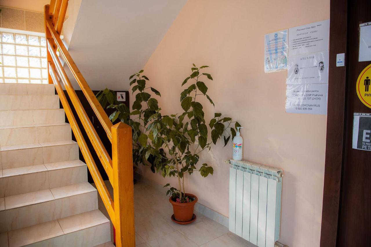 Casa Maia Hotel Szászbuda Kültér fotó